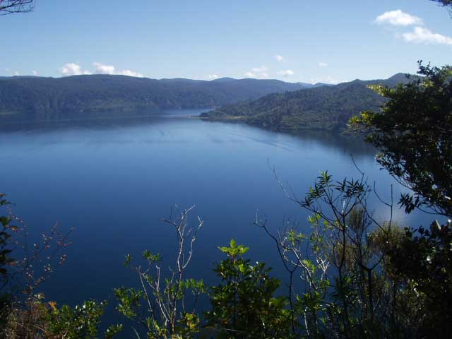 CJAi